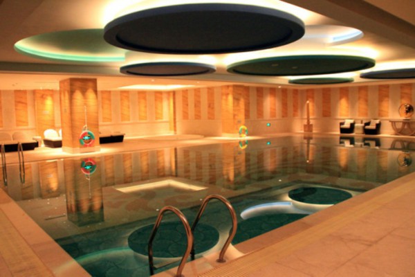 成都银杏茶馆，养生休闲好去处(成都银杏餐厅有几家)